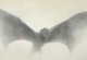 权力的游戏 第五季(2015)Game.of.Thrones.S05.2160p.BluRay.REMUX.HEVC.DTS-HD.MA.TrueHD.7.1.Atmos-FGT