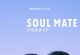 灵魂之伴[杜比视界版本][全8集][简繁英字幕].Soul.Mate.S01.2160p.NF.WEB-DL.DDP.5.1.DV.H.265-BlackTV