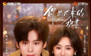 你是迟来的欢喜.[4K 高码率].魏哲鸣 郑合惠子 李俊贤